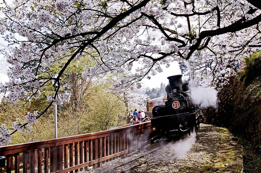 Alishan Forest Railway, Taiwan