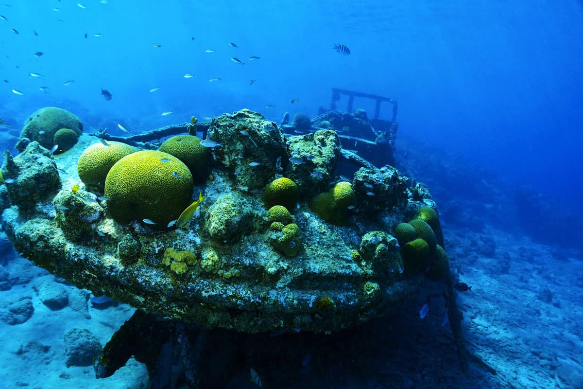 Curacao Scuba diving