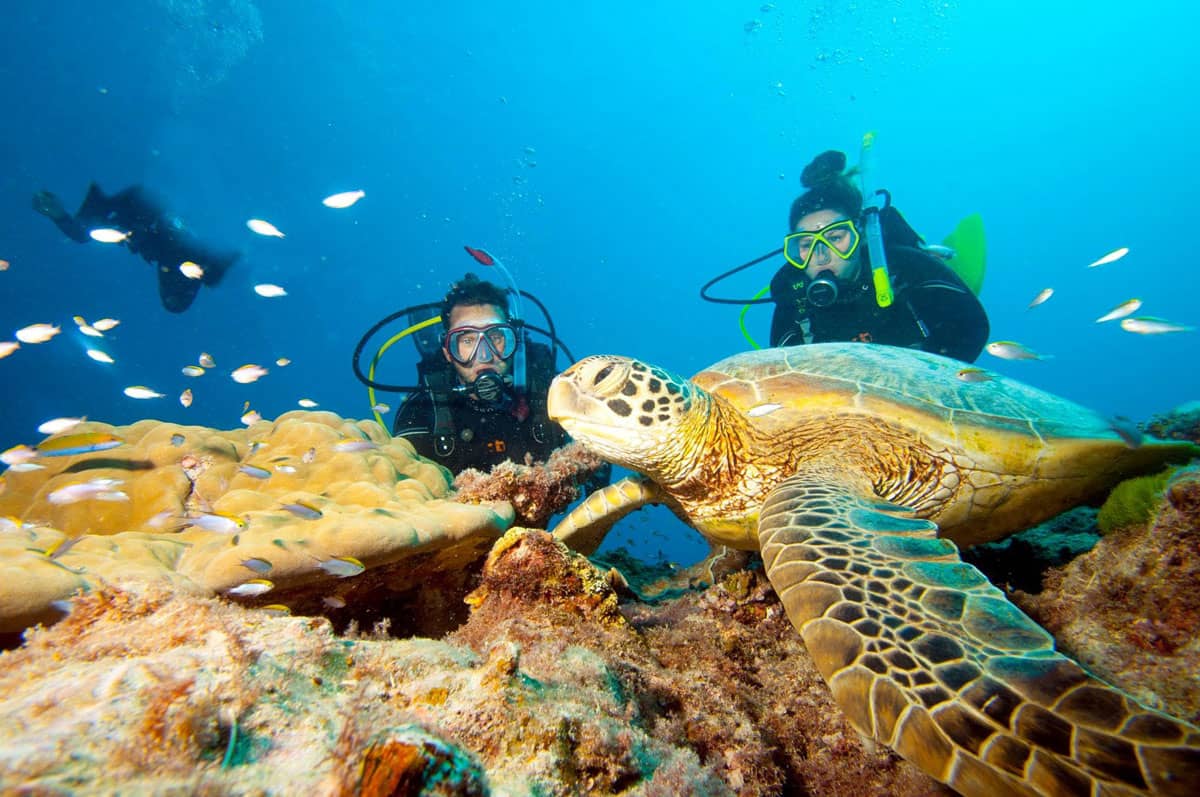 The Yongala diving