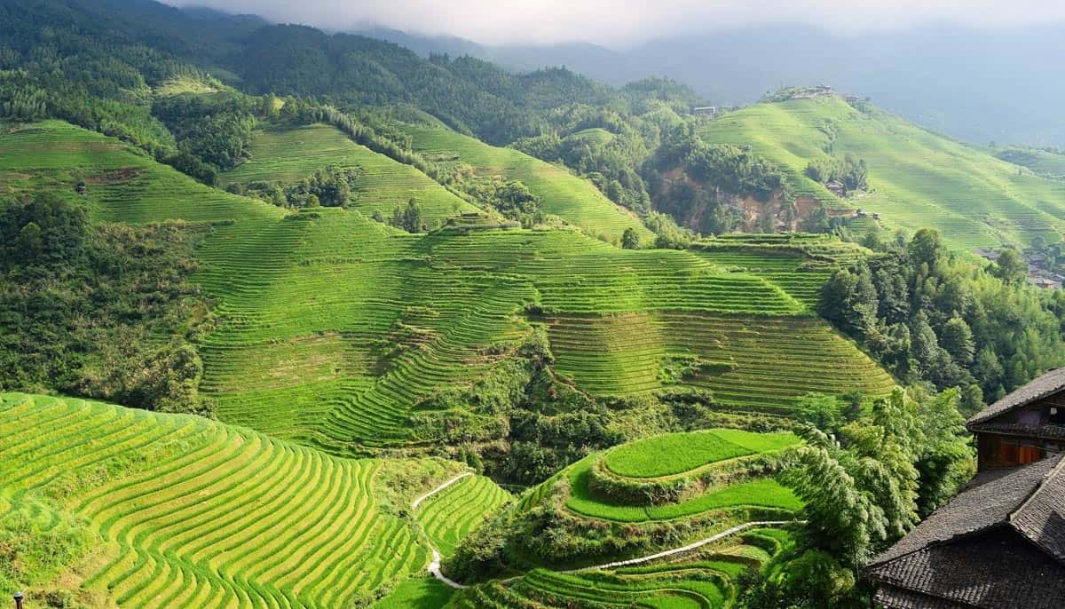 ifugao-rice-terraces- Places To Visit In Southeast Asia